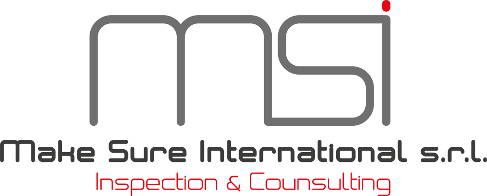 Logo-Make-Sure-International